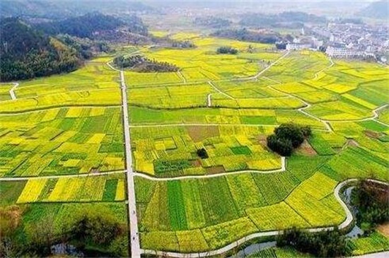 浙江省仙居縣屬于哪個市