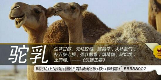 怎么鉴别骆驼奶粉真假?驼奶骗局大揭秘!