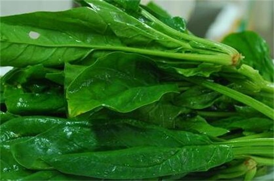 菠菜和紫菜能一起吃吗
