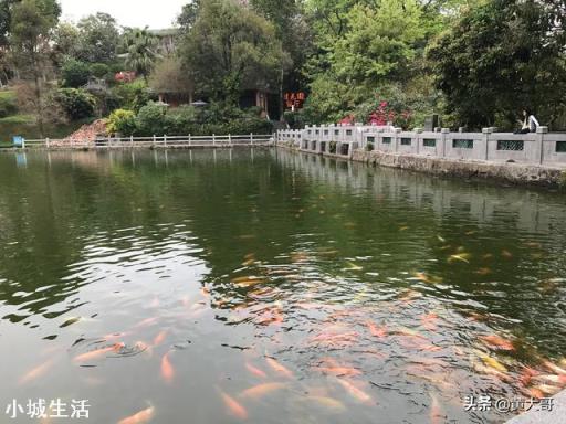 运动相机拍摄视频,用1080p 60fps好还是4k 30fps好呢?