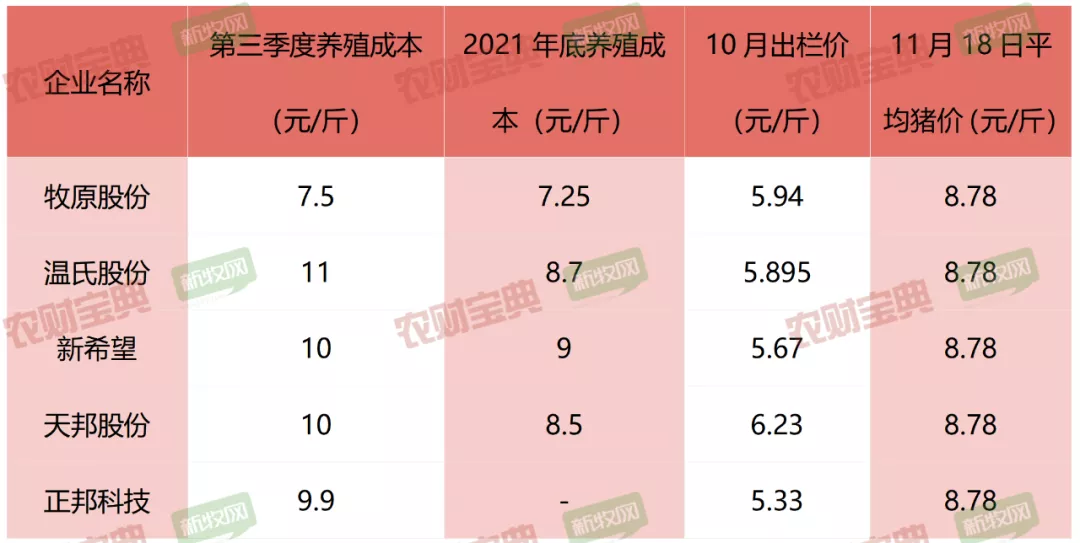 大概费用 饲料多少钱