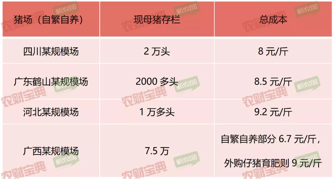 大概费用 饲料多少钱