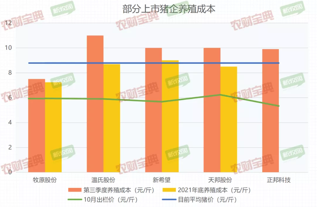 大概费用 饲料多少钱