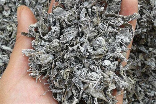 藤茶的禁忌