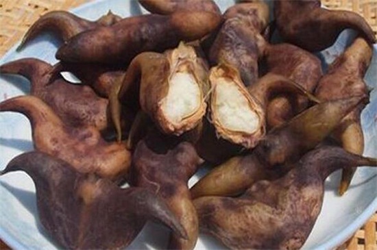 菱角的禁忌人群