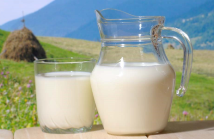 牛乳直接喝吗 牛奶和牛乳是一个东西吗