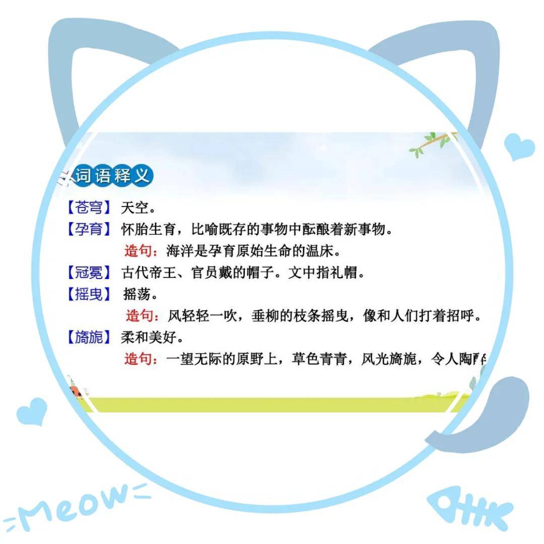 花之歌课文笔记 花之歌的主要内容