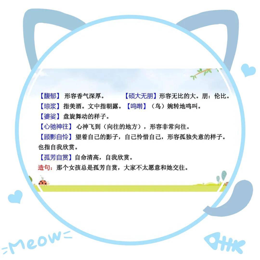 花之歌课文笔记 花之歌的主要内容