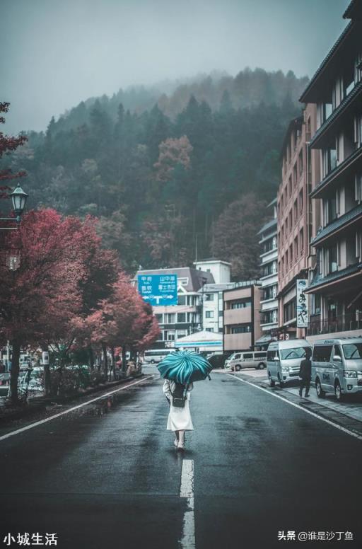 外出旅游，以拍摄风景、人物为主，怎么选一款2万以内的相机？