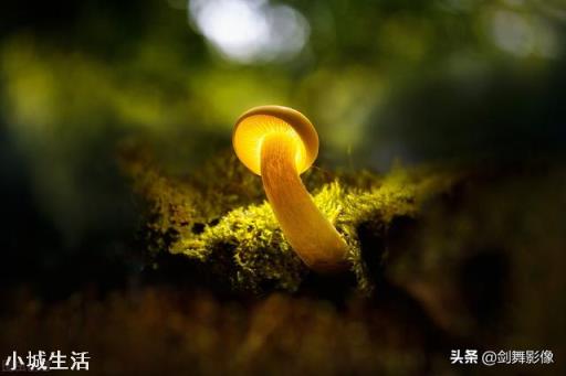 单反镜头重要还是机身重要？还是都重要？
