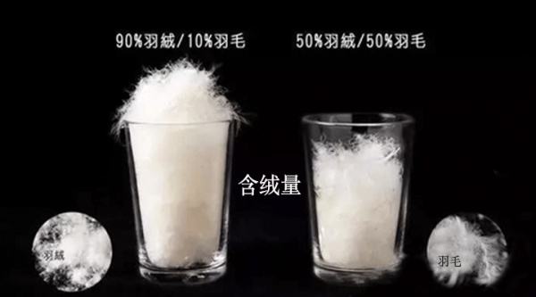 羽绒多少钱「指导价」