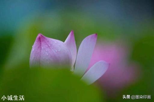 摄影创作中的“虚实结合”有哪些好处呢？