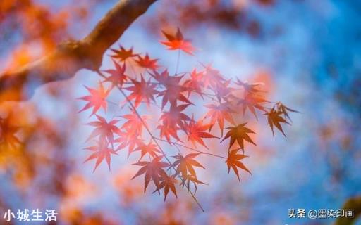 摄影创作中的“虚实结合”有哪些好处呢？