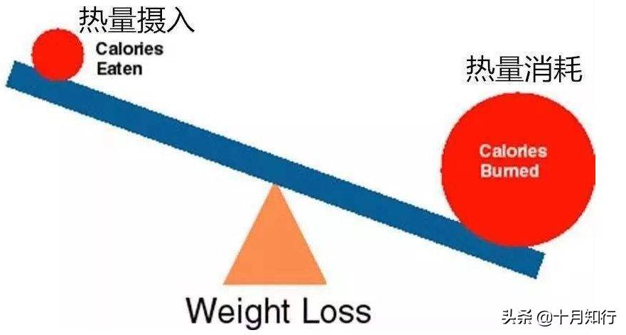 要怎么做才能健康地瘦下来？ 怎样才可以健康减肥