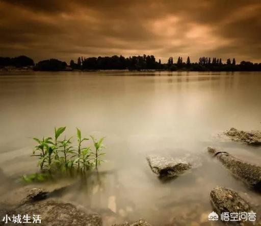风光摄影和人像摄影，使用的镜头有什么区别吗？