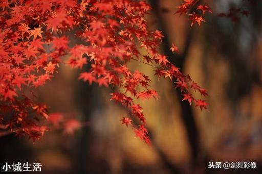 作为一个摄影爱好者，懂的光圈，快门，感光度就能拍出好作品吗？