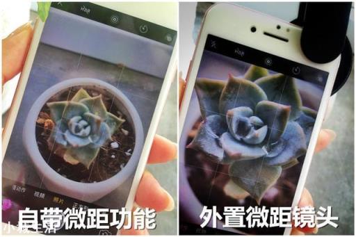 手机如何拍摄微距，怎么拍？需要配件吗？