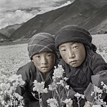 摄影作品的风格,是由哪些因素决定的?