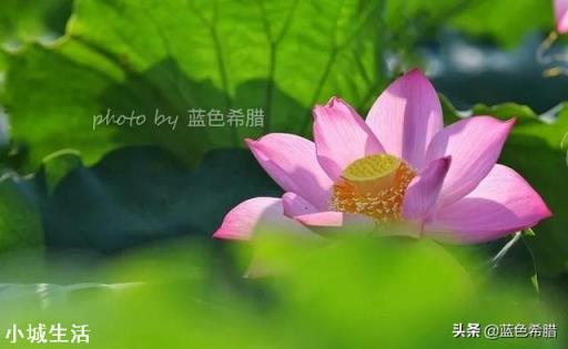 摄影爱好者，是不是应该把所有的题材都尝试一遍呢？