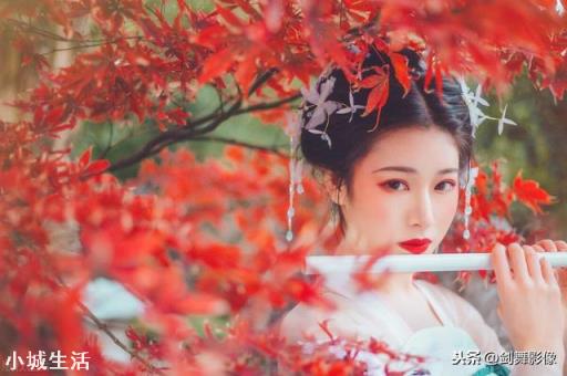 佳能70-200f4小小白二代与70-200f2.8小白三代的成像质量差距有多大？