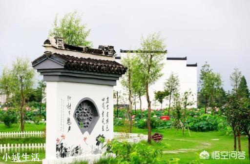 我入门摄影准备买5d4，可以吗？