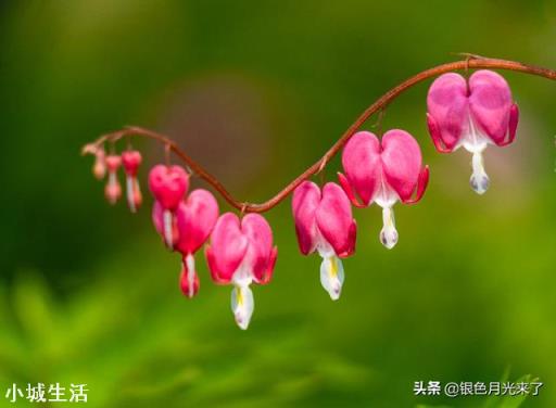 想要一款拍照清晰的相机,索尼全画幅微单怎么样?
