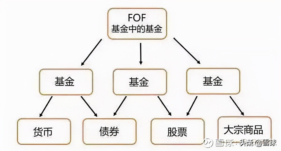 大概费用 钱母多少钱