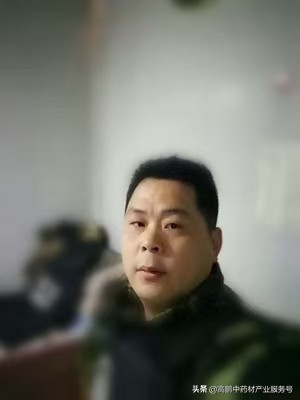 最新2021 叶子多少钱