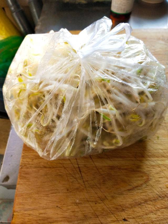黄黄豆芽变绿了有毒吗 变绿的豆芽还能吃吗