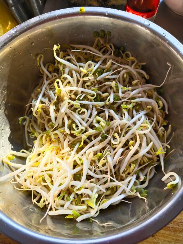 黄黄豆芽变绿了有毒吗 变绿的豆芽还能吃吗