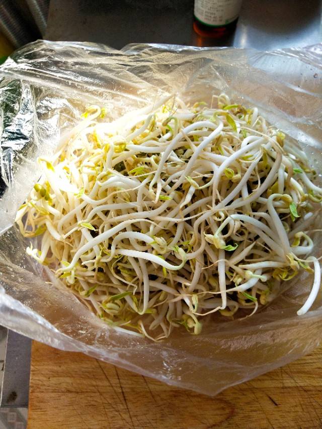 黄黄豆芽变绿了有毒吗 变绿的豆芽还能吃吗