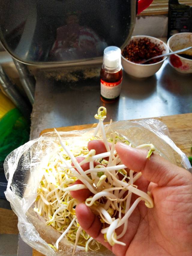 黄黄豆芽变绿了有毒吗 变绿的豆芽还能吃吗