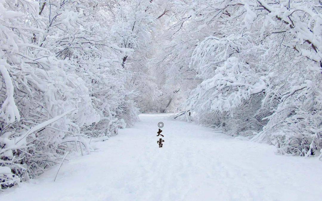 大雪节气的4句古诗 大雪节气诗句