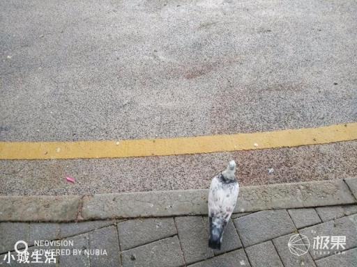 应不应该入手一个单反?