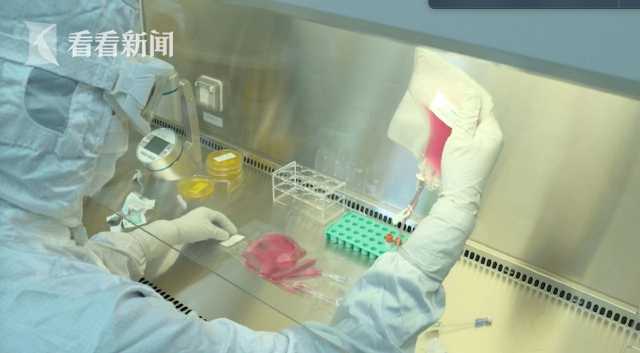 官方报价 打针多少钱