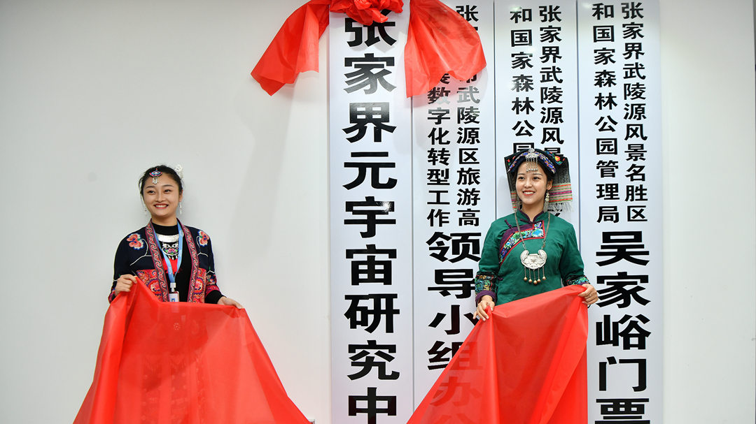 官方报价 打针多少钱