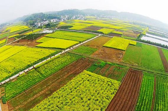 出现争议如何处理 什么是土地登记?土地登记申请材料包括哪些