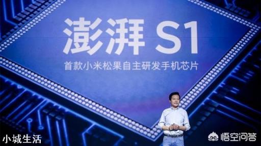 国内的芯片公司，哪家最有可能成为中国的高通？