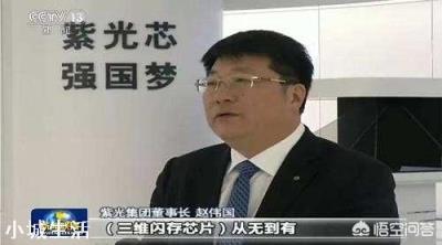 国内的芯片公司，哪家最有可能成为中国的高通？
