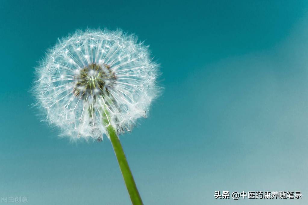 慢性扁桃体炎的防治 慢性扁桃体炎