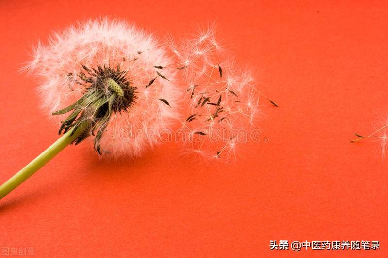 慢性扁桃体炎的防治 慢性扁桃体炎