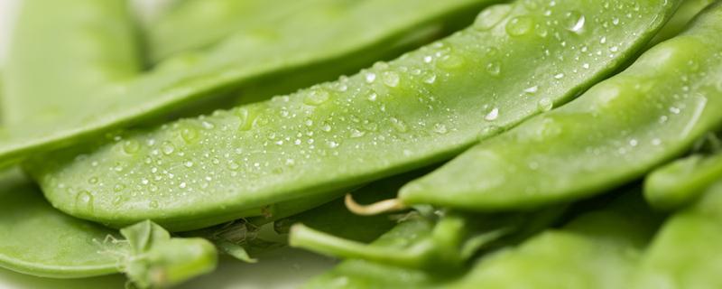 荷兰豆焯水后放冰箱第二天可以吃吗 荷兰豆焯水几分钟能熟
