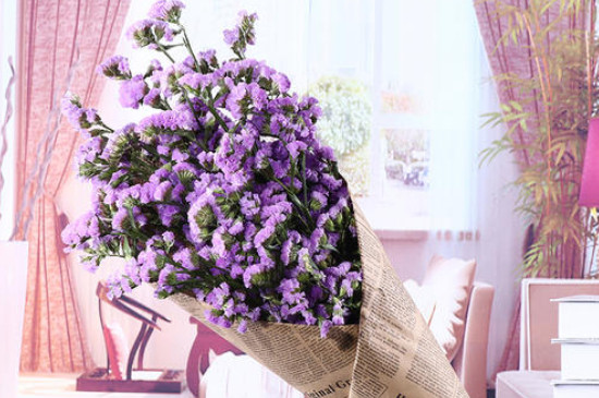 干花能随便送人吗