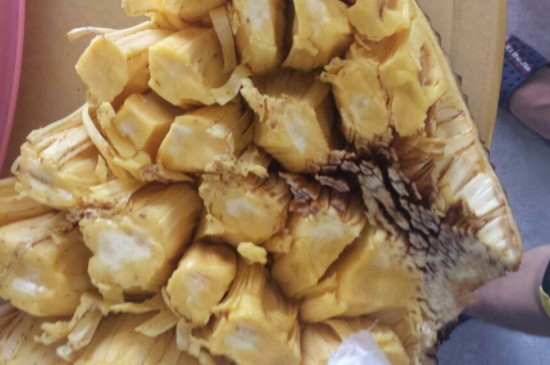 菠蘿蜜果肉有褐色斑點(diǎn)