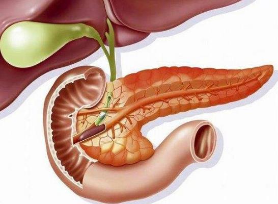 诊断了胰腺炎但一直不疼严重吗？胰腺炎为什么夜里疼得厉害