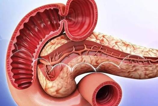 诊断了胰腺炎但一直不疼严重吗？胰腺炎为什么夜里疼得厉害