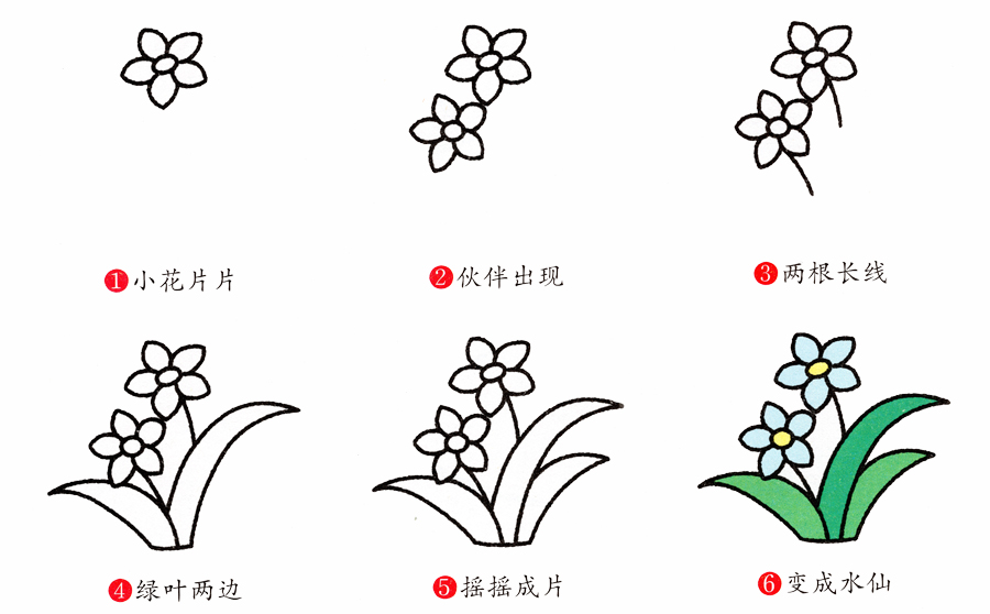 兒童簡筆畫花朵的畫法，花草類簡筆畫之水仙花的簡單畫法