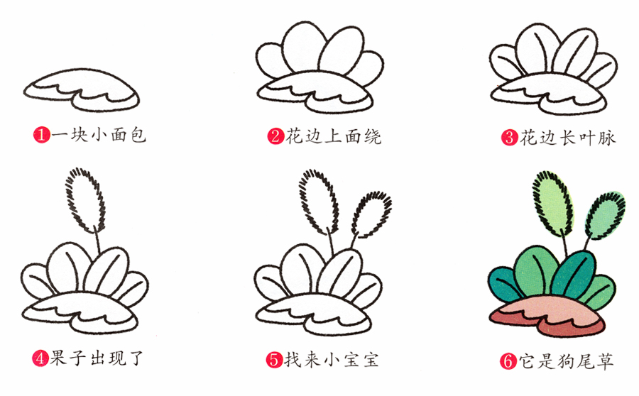 兒童簡筆畫花朵的畫法，花草類簡筆畫之漂亮的狗尾草的簡單畫法
