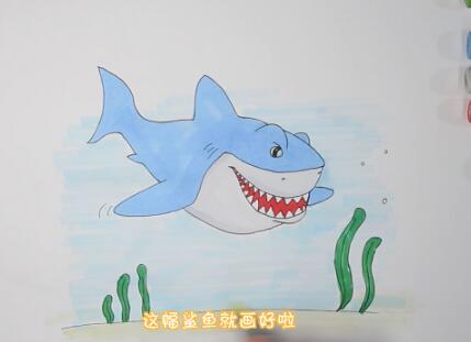 兒童學畫畫，巨型鯊魚簡筆畫怎么畫？巨型鯊魚簡筆畫的畫法