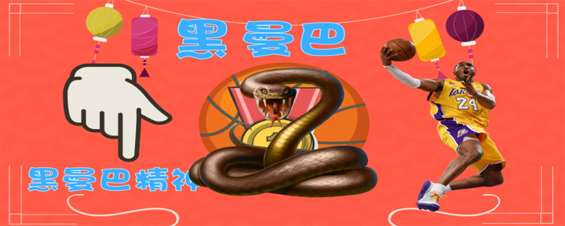 曼巴是什么意思